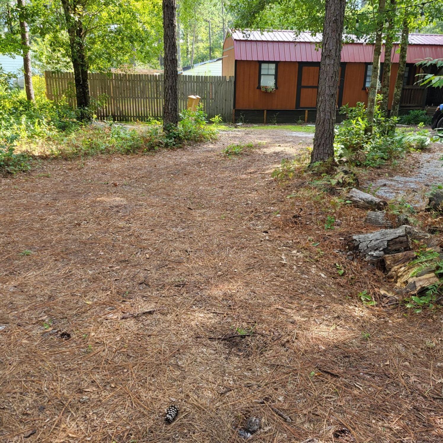 Fern Gully Cabin Conway Bagian luar foto